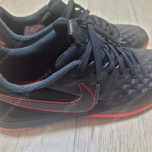 나이키 티엠포 260 s급