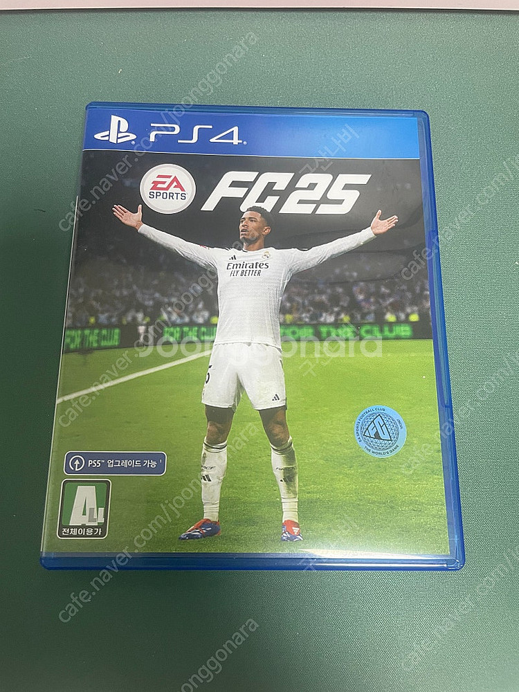 ps4 fc25--0