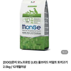몬지 토끼