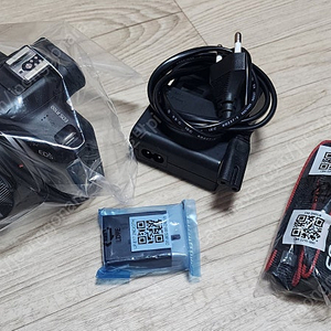 캐논 eos r100
