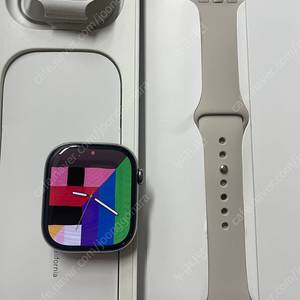 애플워치10티타늄 내추럴 46mm SS급