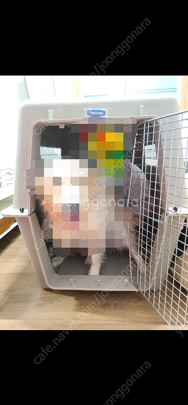 초 대형견 자이언트 케넬 판매합니다. ^^--0