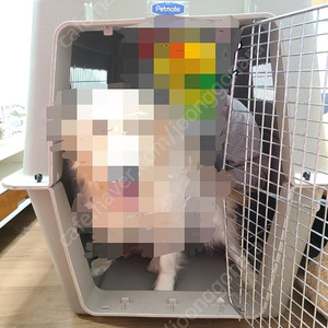 초 대형견 자이언트 케넬 판매합니다. ^^