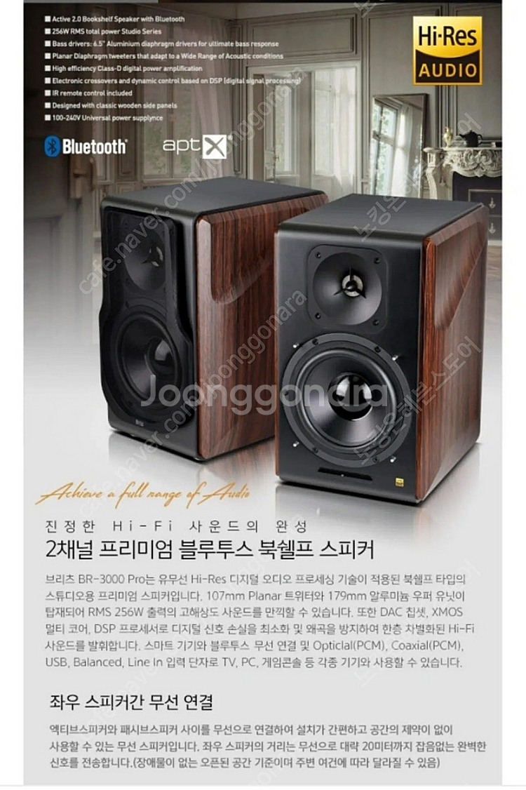브리츠 br-3000pro 북쉘프 블루투스 스피커(좌우...--2