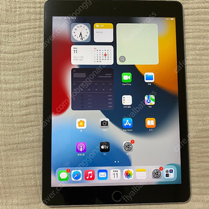 아이패드 에어2 128G 셀룰러