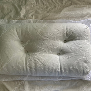 닥터파베 클래식 에디션 베개