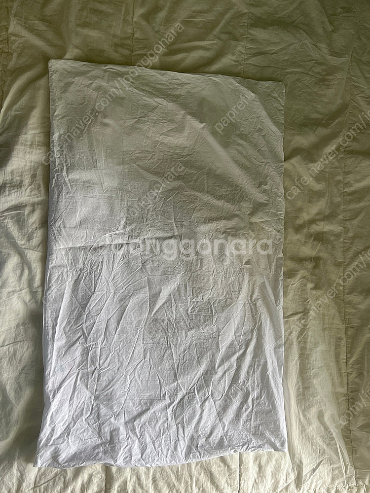 닥터파베 클래식 에디션 베개--3