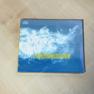 [CD] 새소년 - 여름깃