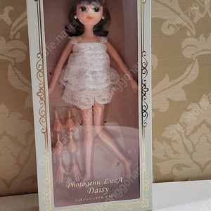 리카 포토제닉 데이지