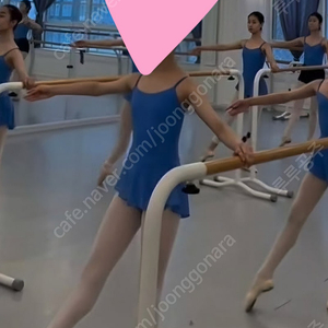 레오타드(스커트일체형)초6~중1사이즈