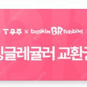 배스킨라빈스 싱글레귤러