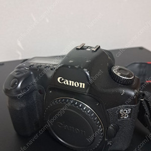 캐논 5D 카메라