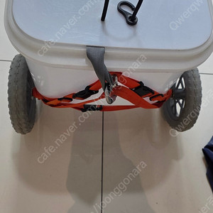 해루질 조과통