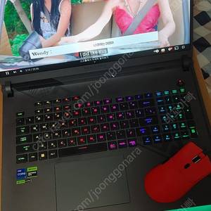 아수스 18인치 /rtx4080/13650h/32ram/1tssd/ ASUS ROG STRIX G18 G814