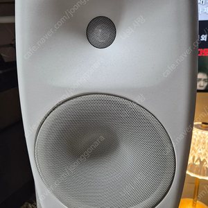 제네렉 g5 (genelec g5)