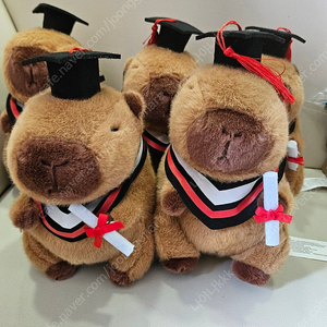 카피바라 학사모 인형