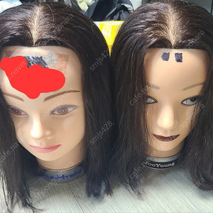 천혜인 천혜사 통가발 이사,그레쥬 등