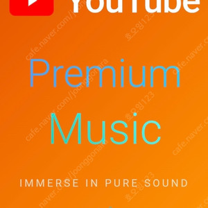 유튜브 프리미엄 개인 구독 1년