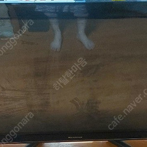 LG 50인치 플라즈마 TV 팝니다
