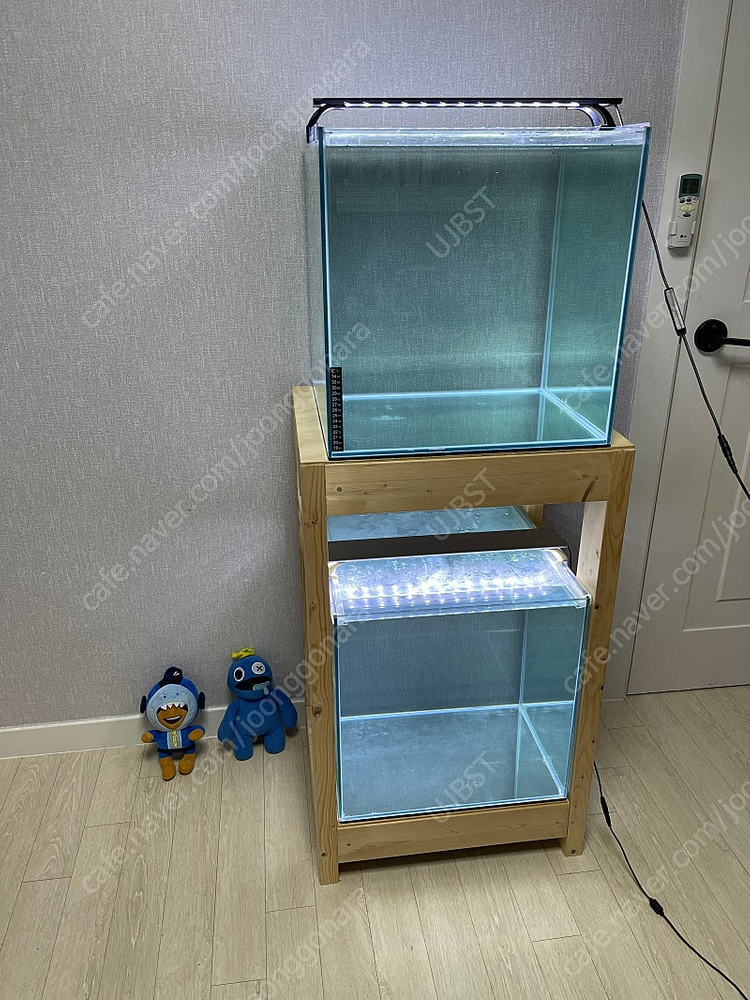 (경기 북부) 프리미엄 켈란 크리스탈 45큐브 수조 6T 원목 축양장 세트 상태 S급 어항 판매 (개별 가능)--1