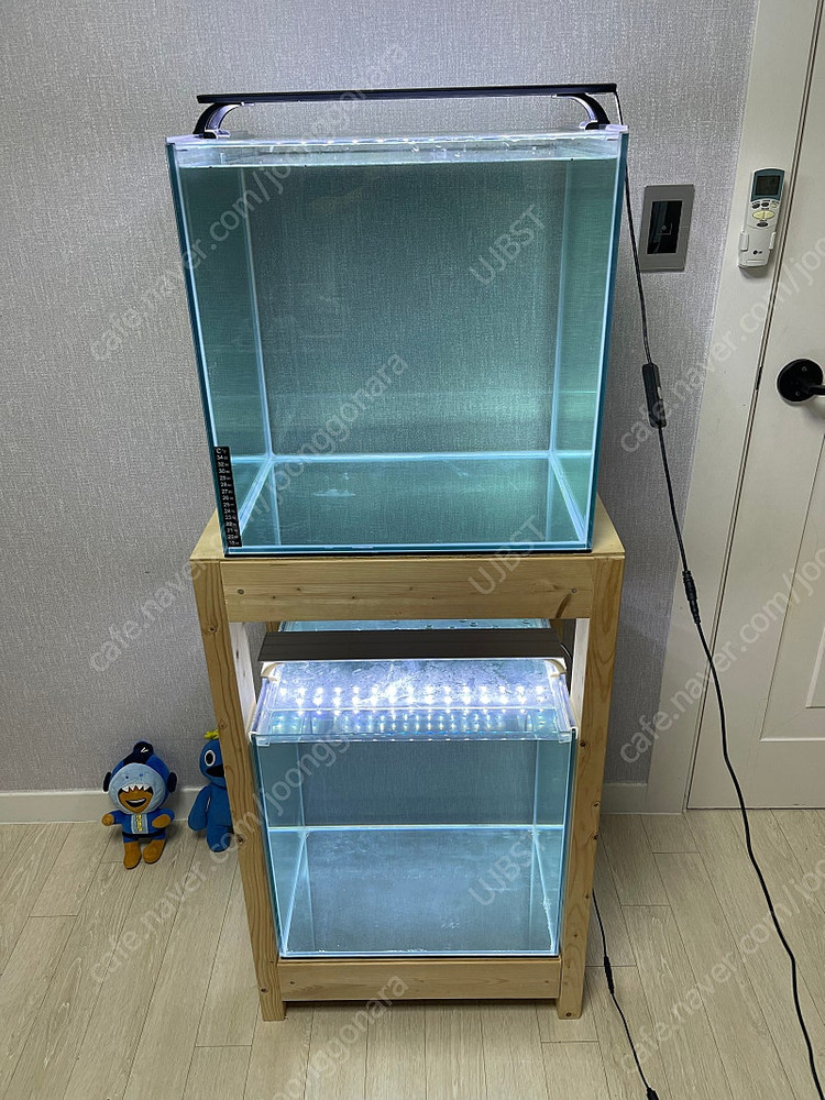 (경기 북부) 프리미엄 켈란 크리스탈 45큐브 수조 6T 원목 축양장 세트 상태 S급 어항 판매 (개별 가능)--2