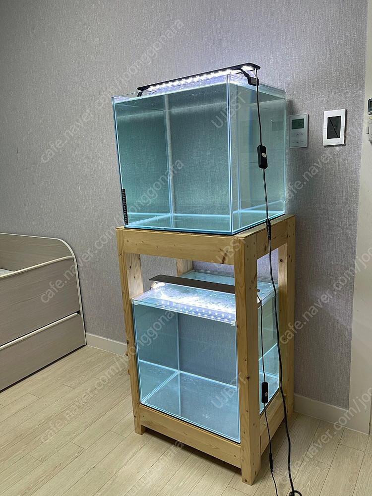 (경기 북부) 프리미엄 켈란 크리스탈 45큐브 수조 6T 원목 축양장 세트 상태 S급 어항 판매 (개별 가능)--3