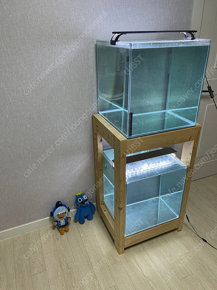 (경기 북부) 프리미엄 켈란 크리스탈 45큐브 수조 6T 원목 축양장 세트 상태 S급 어항 판매 (개별 가능)--6