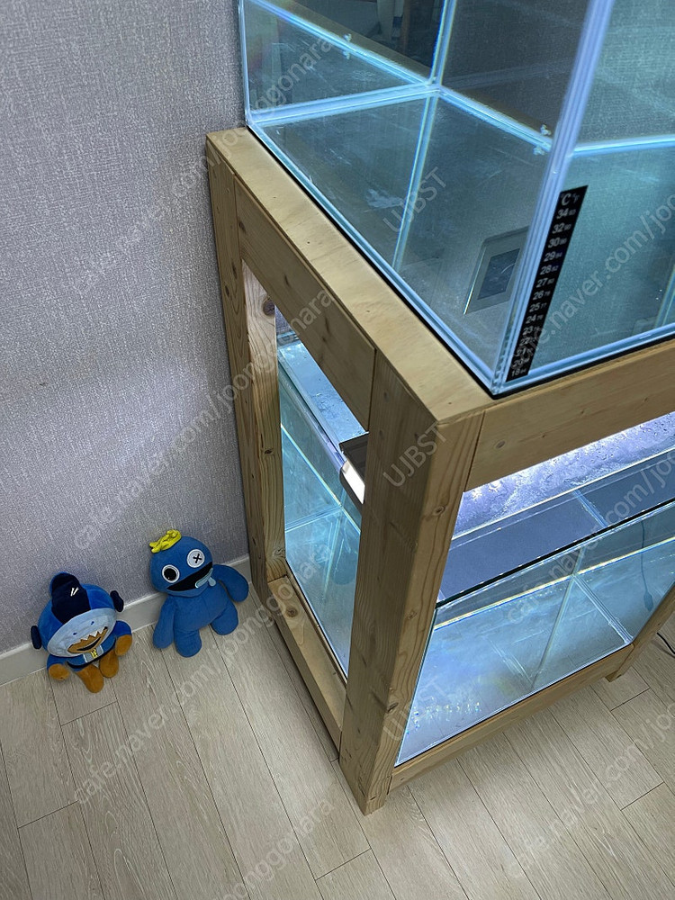 (경기 북부) 프리미엄 켈란 크리스탈 45큐브 수조 6T 원목 축양장 세트 상태 S급 어항 판매 (개별 가능)--7