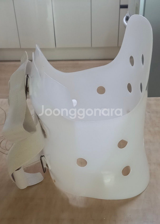 서울의지 척추 보조기 TLSO--1