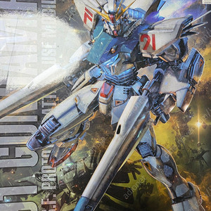 Mg f91건담 2.0