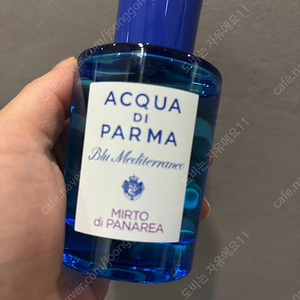 아쿠아디파르마 미르토75ML 새상품