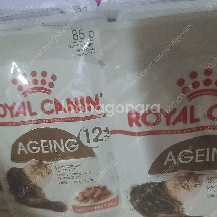 로얄캐닌 캣12 에이징 파우치 27봉--3