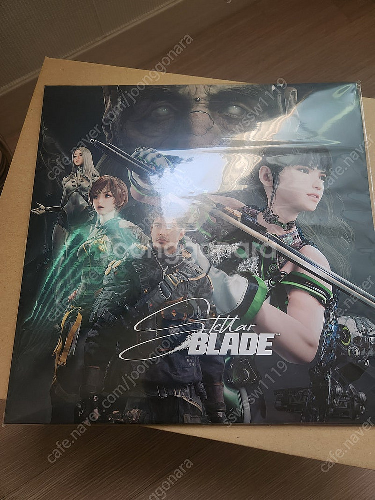 Ps5 스텔라블레이드 및 LP 일괄 판매--0