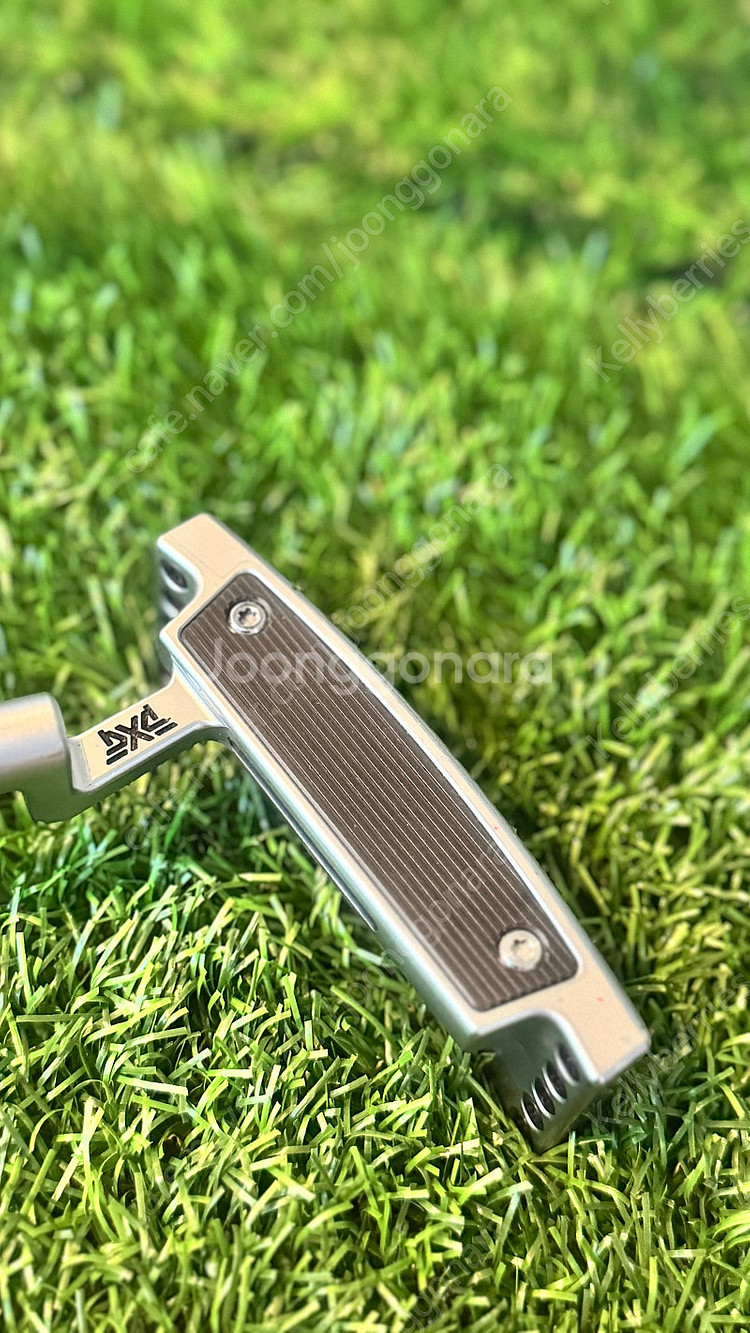 PXG 젠1 머스탱--1