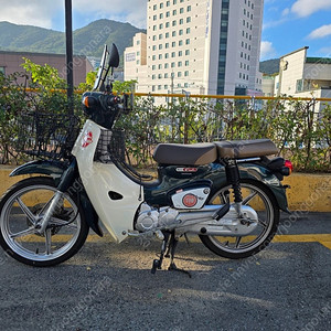 2020연식 슈퍼커브110 그린