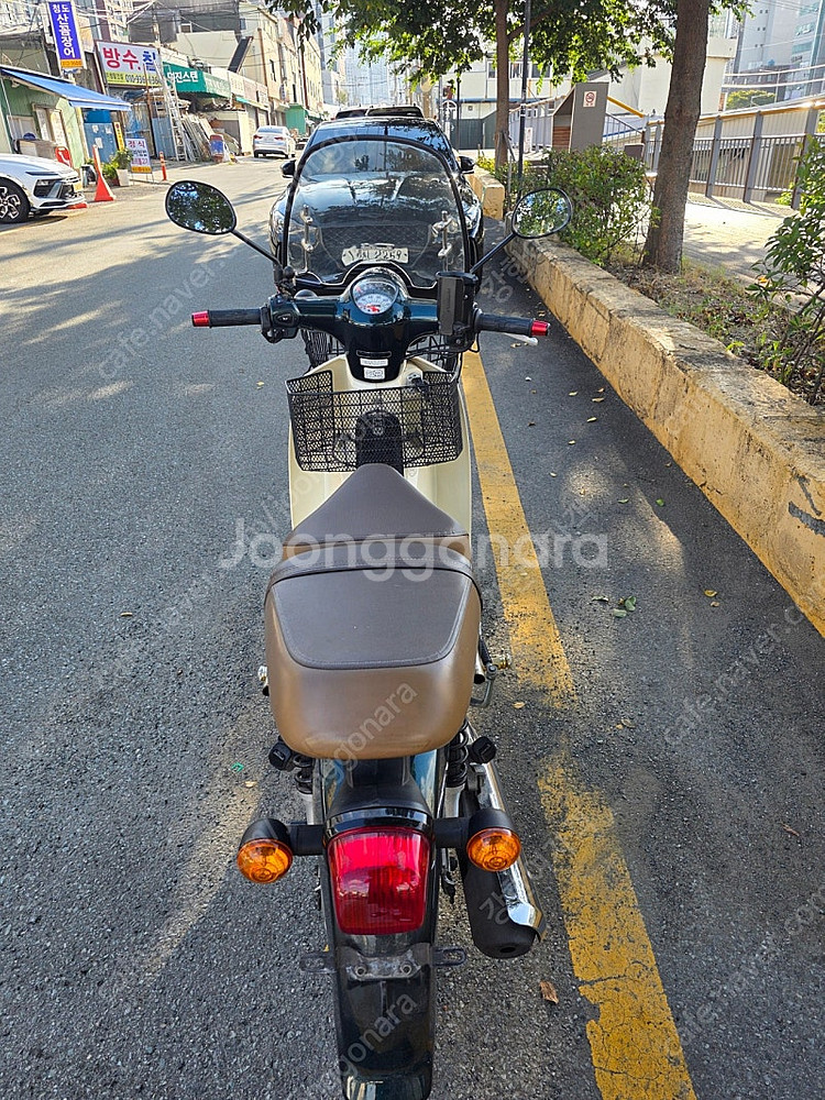 2020연식 슈퍼커브110 그린--3