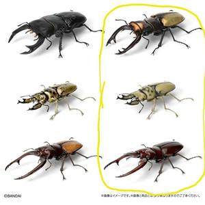 반다이 생물대도감 사슴벌레