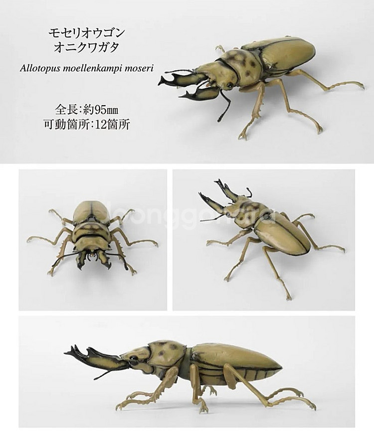 반다이 생물대도감 사슴벌레--1