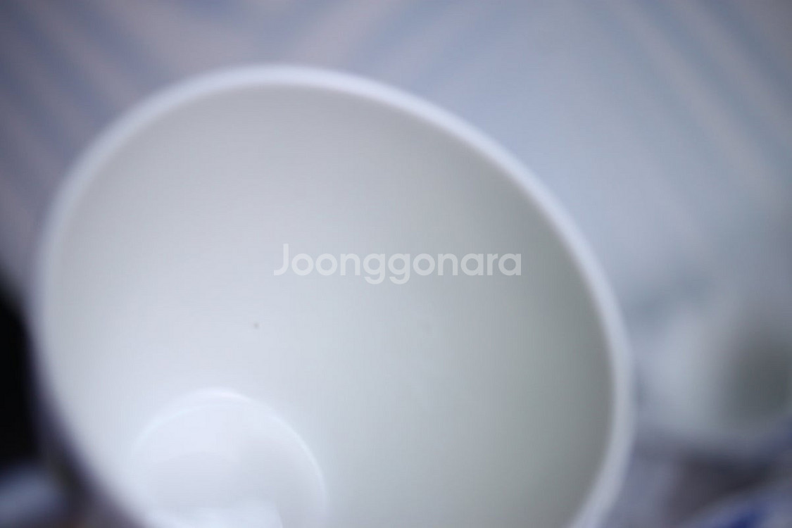 로얄 코펜하겐 블루 플루티드 하프레이스 데미잔(#719) 듀오 Royal Copenhagen--8