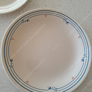 코렐 빈티지 베이지 접시
