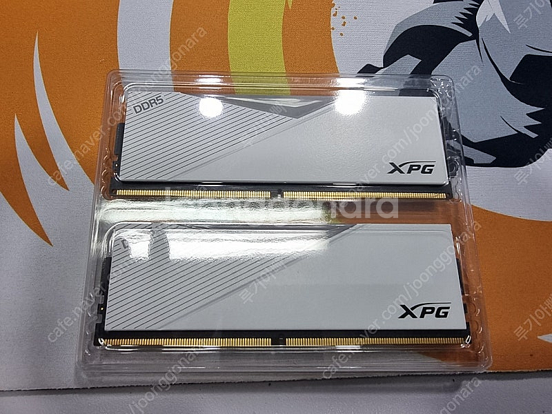 XPG LANCER RGB RAM 램 DDR5 32GB...--2