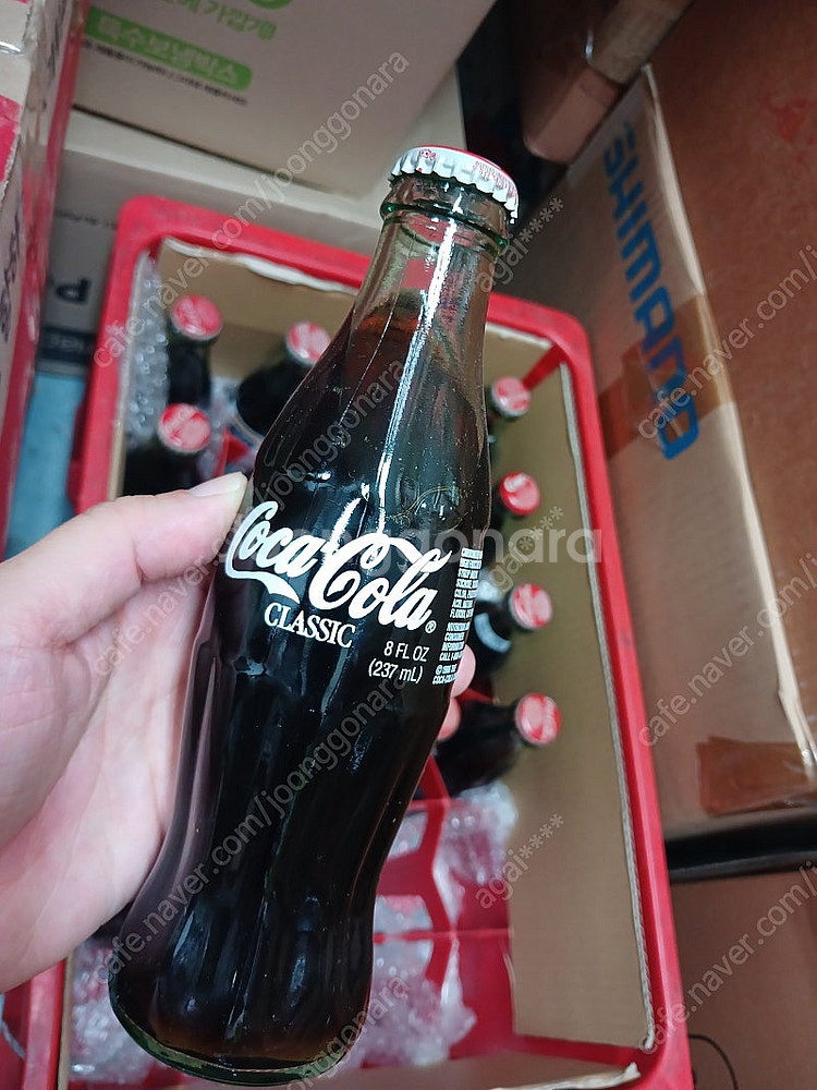 코키콜라 클래식 세트 미개봉 237ml 19개 코카콜라...--1