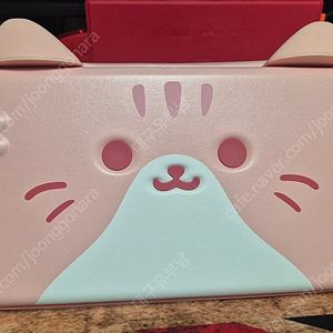 스위치2 파우치+케이스 팝니다.