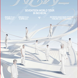 세븐틴 SVT 막콘 R석 2연석 현장도움/세븐틴 뉴 콘서트 양도