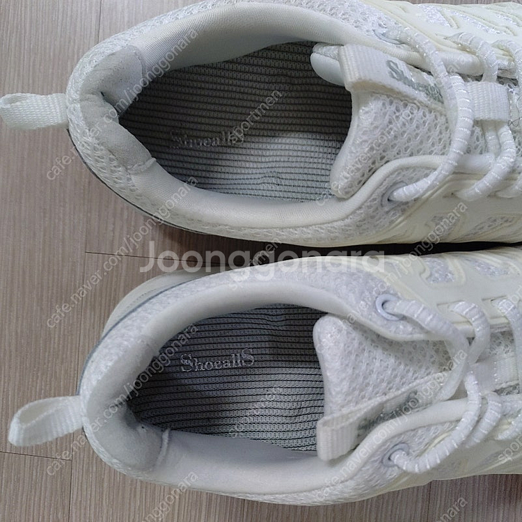 슈올즈 씨엘로 255mm--1