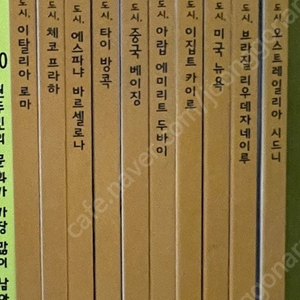 도시따라 세계나들이, 신하로 보는 역사이야기, 전쟁으로 보는 한국사, 앞뒤로 보는셰게 유산, 역사따라 궁궐나들이, 성나들이, 도시나들이, 왕으로 보는 조선