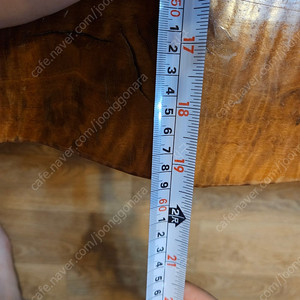 은행나무 테이블