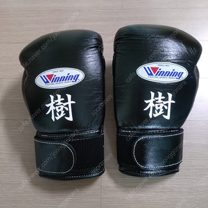 위닝 글러브 10온스