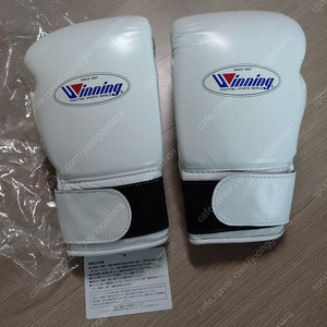 위닝 글러브 10온스 화이트