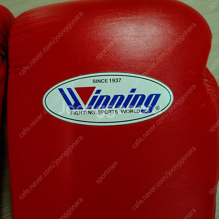 위닝 14온스 글러브--5